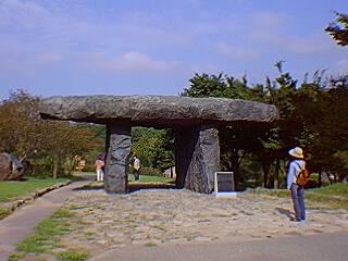 �R�C���h�����