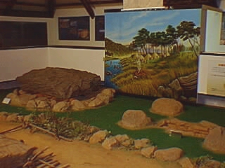 �R�C���h�����