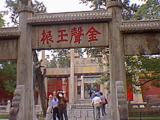 �����ʐU�V