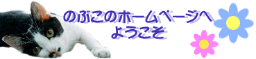 �悤����