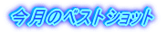 �����̃x�X�g�V���b�g