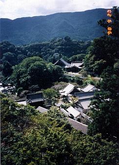 �O���䂩�璭�߂鋫���̌i�F