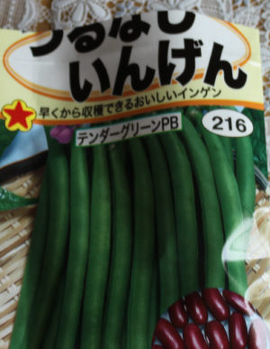 つるなしインゲン(テンダーグリーンPB)の種袋