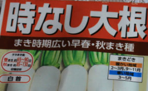 時なし大根の種袋