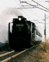 d51.jpg