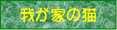 wpe1.jpg (5290 oCg)