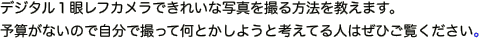 デジタル１眼レフカメラできれいな写真を撮る方法を教えます。