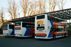 bus (large)