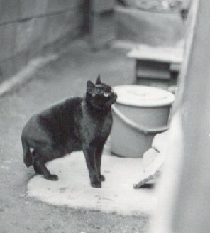 bebar.jpg (16474 �o�C�g)