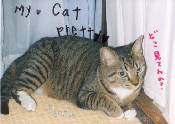 take1.jpg (23305 �o�C�g)