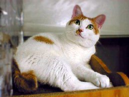 bokun1.jpg (12747 �o�C�g)