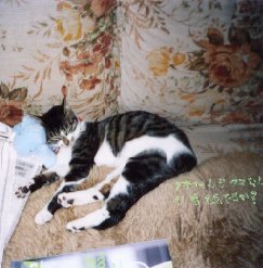 hana.jpg (19375 �o�C�g)