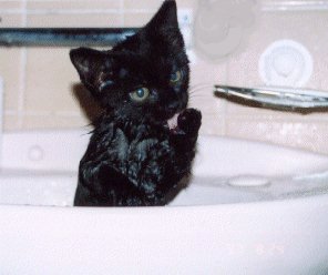 tane2.jpg (14125 �o�C�g)