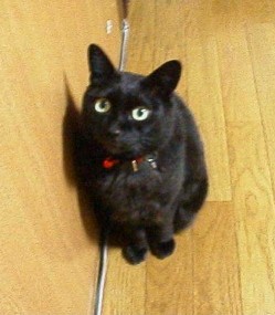 rara02.jpg (21583 �o�C�g)