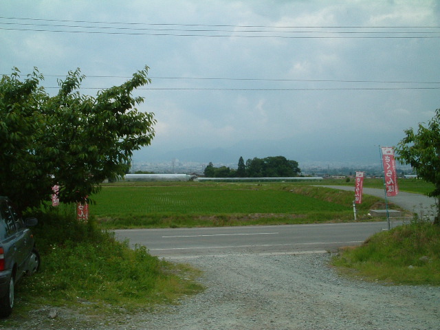 [PHOTO_0618a]
