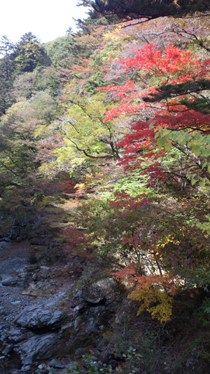 [PHOTO_1102c]