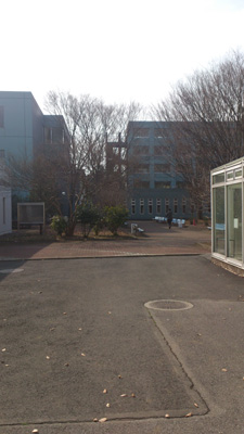 [PHOTO_0310]