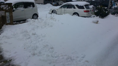 [PHOTO_021501]