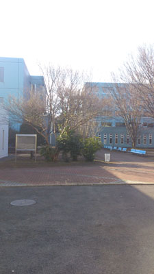 [PHOTO_030901]