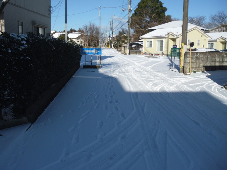 [PHOTO_011502]