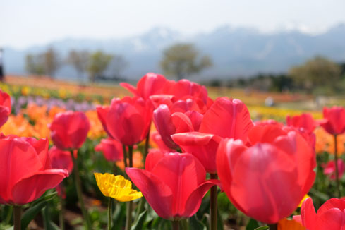 [PHOTO_050304]