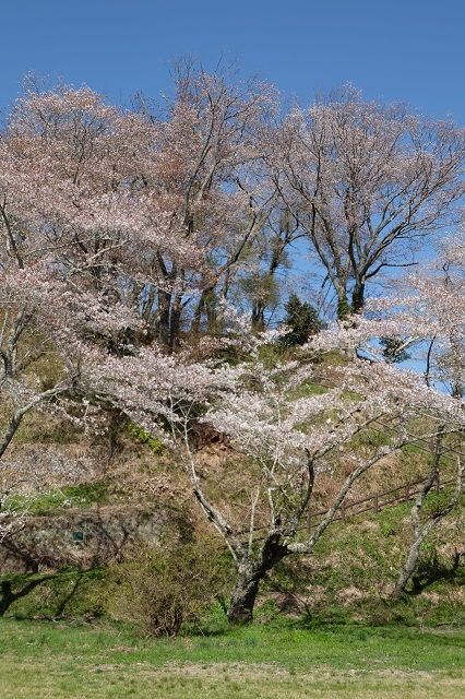 [PHOTO_041101]