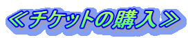 ��`�P�b�g�̍w����