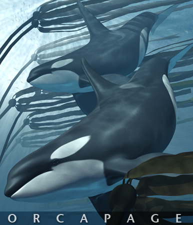 The Orca Home Page