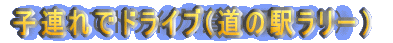 qAŃhCu(̉w[j