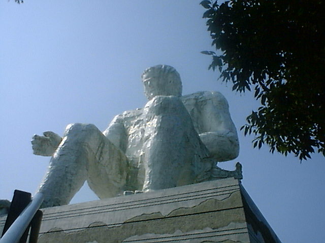 �_�C�_���{�E�̑�