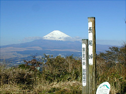 峠 長尾