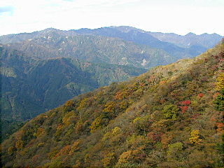 大山から塔の岳、丹沢山を望む