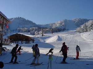 朝一番の熊の湯、整備したてのコースが呼んでいる