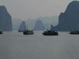 Halongp
