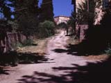 Toscanaの風景2(Siena→S.Galgano)