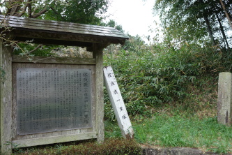 鎭i̒Rjꗢ