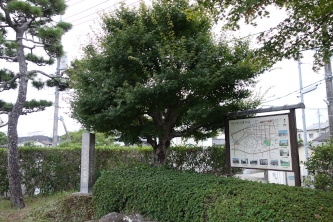 ꗢ