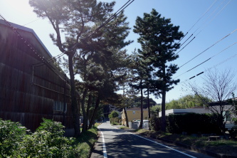 OP쏼