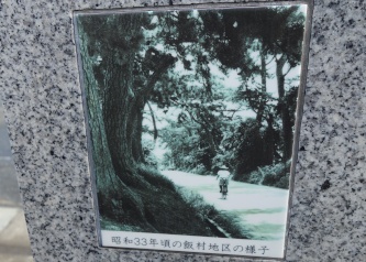 ���a33�N���̔ё��n��̏�����