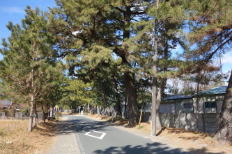 ����̏�����