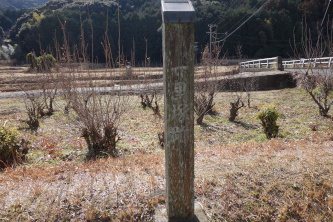 ����̈ꗢ�ː�