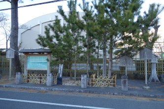 ����h���_�@