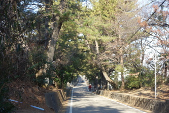 ����̏�����