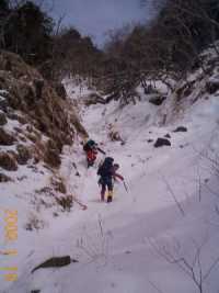 �L�͌���E��