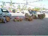 R0010338.JPG