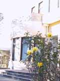 museum&rose