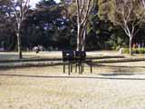 chair_in_garden