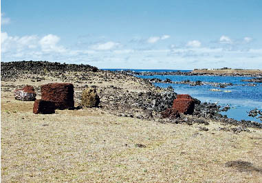 �A�J�n���K�̃v�J�I