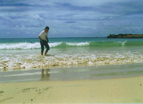 �A�i�P�i�r�[�`