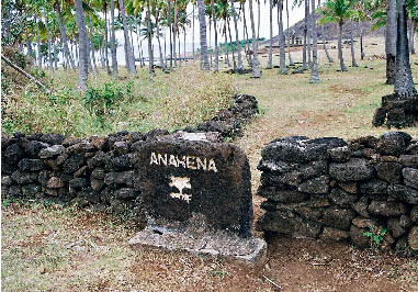 �A�i�P�i�r�[�`����